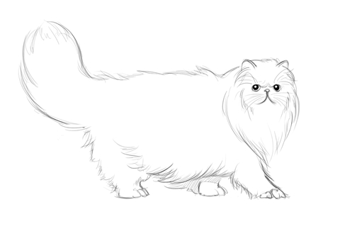 Persian Cat Coloring Page